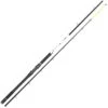 CANNE CASTING FISHING GHOST RENKY STICK