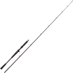 CANNE CASTING WESTIN W6 JERKBAIT-T