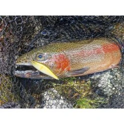 LEURRE COULANT STUCKI FISHING FANATICS QUARRY 60FS - 6CM -Cannes Casting Soldes Boutique leurre coulant stucki fishing fanatics quarry 60fs 6cm z 2739 273977 3