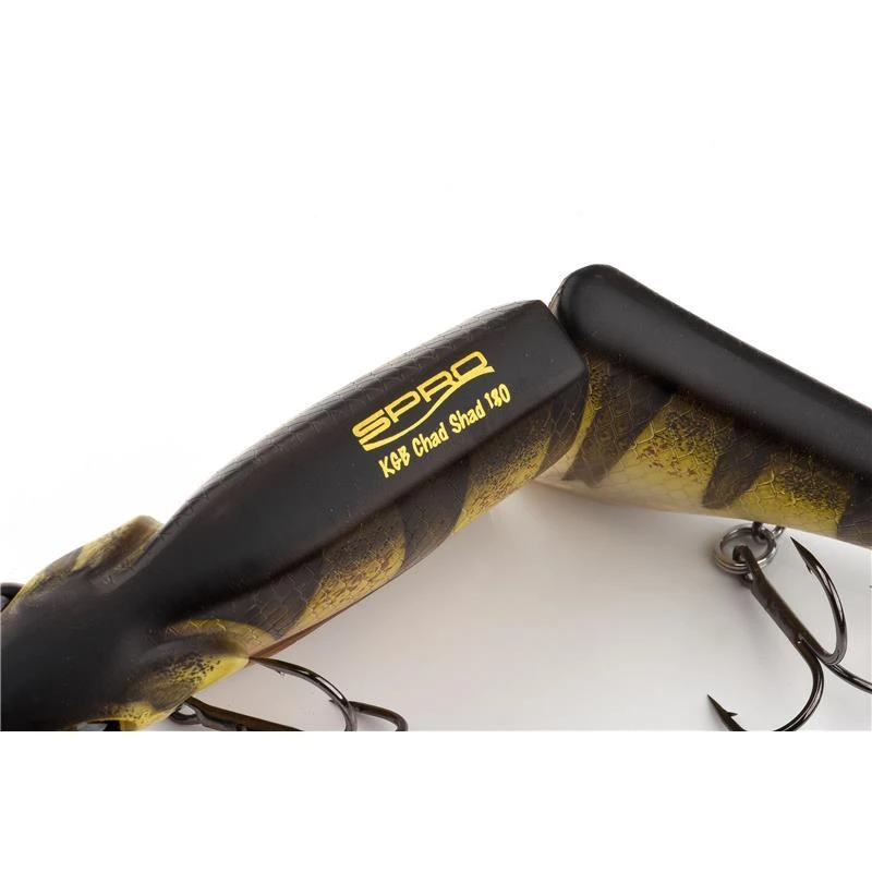 LEURRE COULLANT SPRO KGB CHAD SHAD 180 - 19CM 5 LEURRE COULLANT SPRO KGB CHAD SHAD 180 - 19CM – Image 5