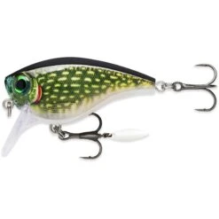 LEURRE FLOTTANT RAPALA BX BIG BRAT PIKE - 7CM