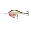 LEURRE FLOTTANT RAPALA DIVES-TO DT04 - 5CM